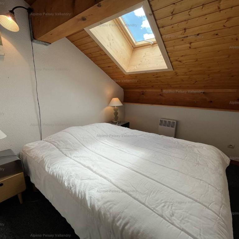 Appartement duplex 45m², 3 pièces, 8 pers, balcon, près des pistes, animaux admis - Appartement 2 Chambres - 8