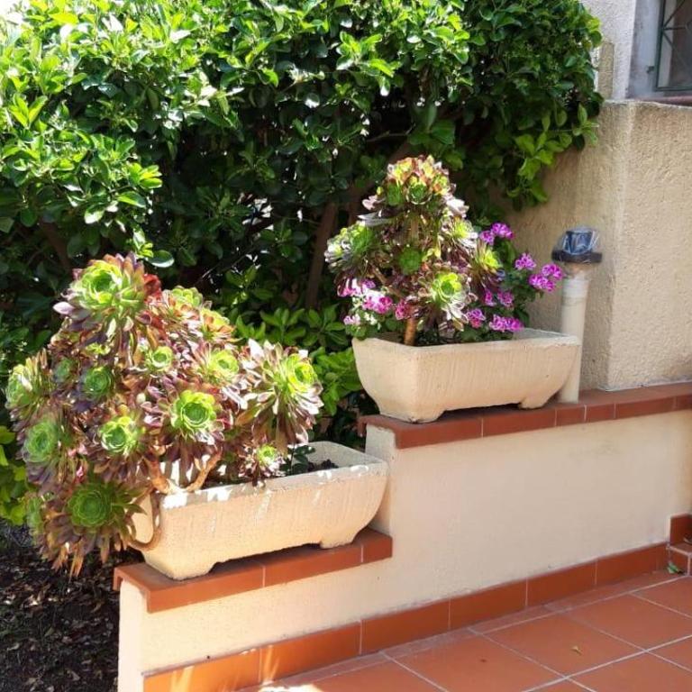 La casetta di Vera - Appartamento con 1 Camera da Letto - 1