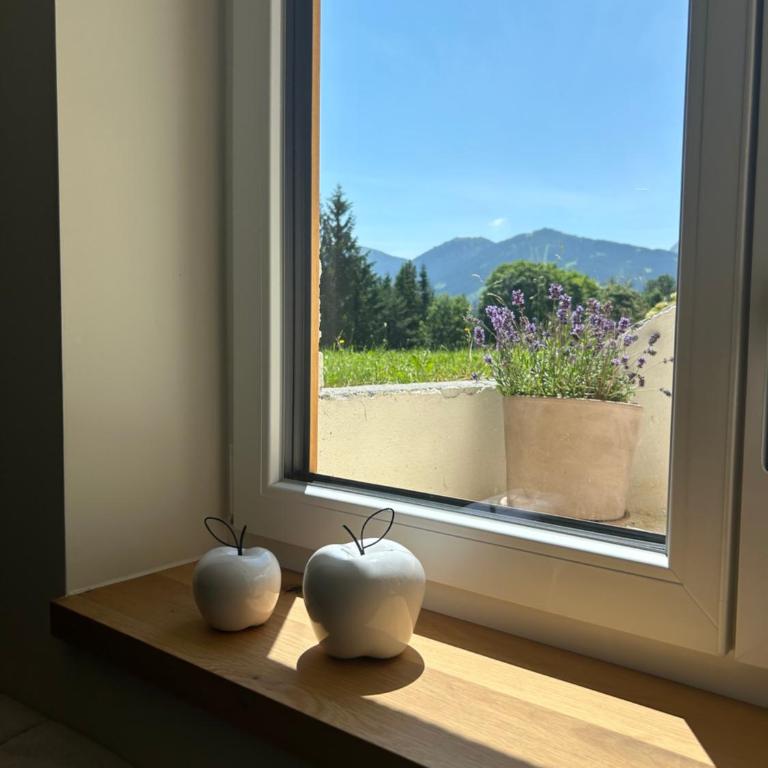 Blaue Lagune - Apartment mit 2 Schlafzimmern - 30