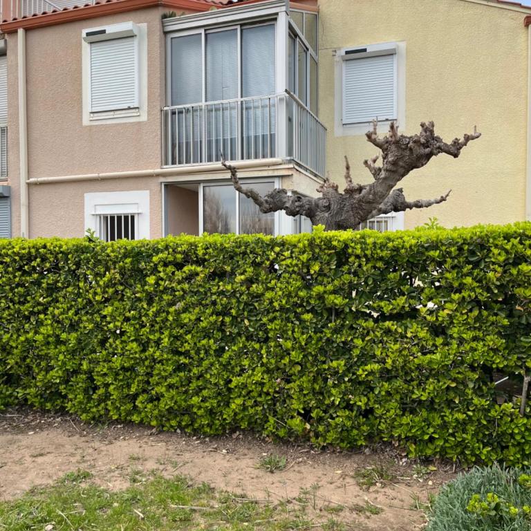 Appt BORD DE MER MARSEILLAN PLAGE - Appartement 2 Chambres - 10