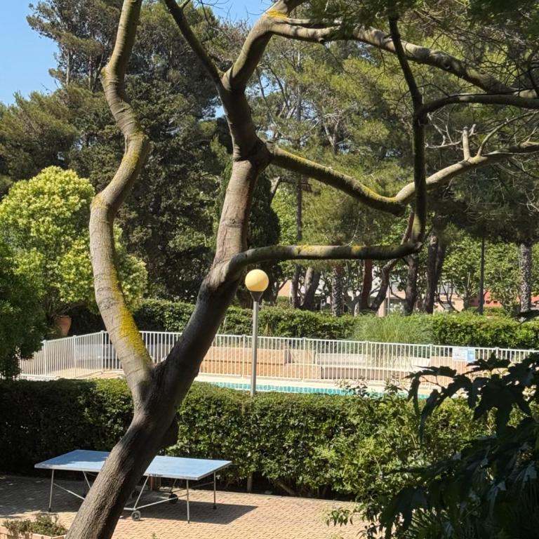 Pause a Mare Nostrum - 4 pers- clim - Piscine - Plage du Mole - Histoire de clés - Appartement 1 Chambre - 11
