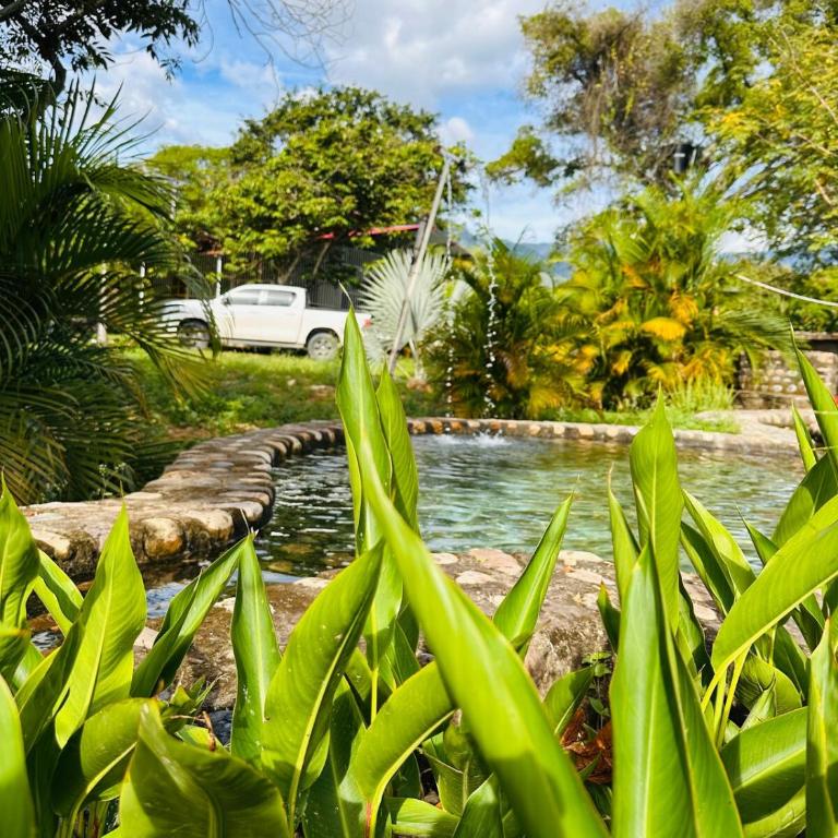 Finca Privada con Piscina Natural y ambiente ecologico cerca de Neiva - Casa de 3 dormitorios - 5