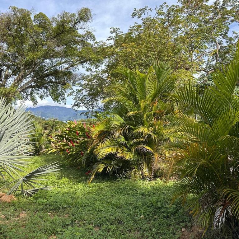 Hermosa Casa Finca con Piscina Natural - Three-Bedroom House - 3