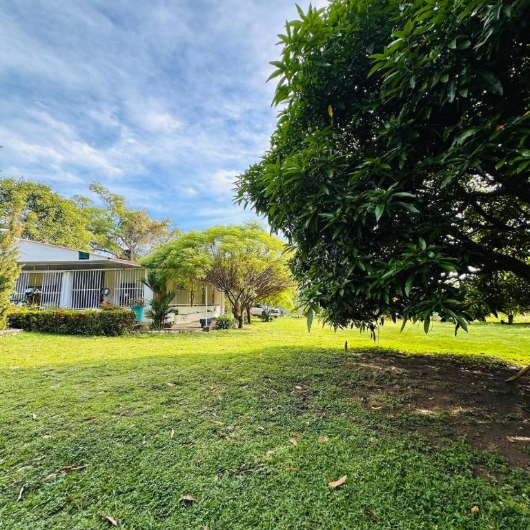 Finca Privada con Piscina Natural y ambiente ecologico cerca de Neiva - Casa de 3 dormitorios - 10