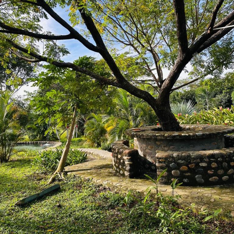 Finca Privada con Piscina Natural y ambiente ecologico cerca de Neiva - Casa de 3 dormitorios - 19