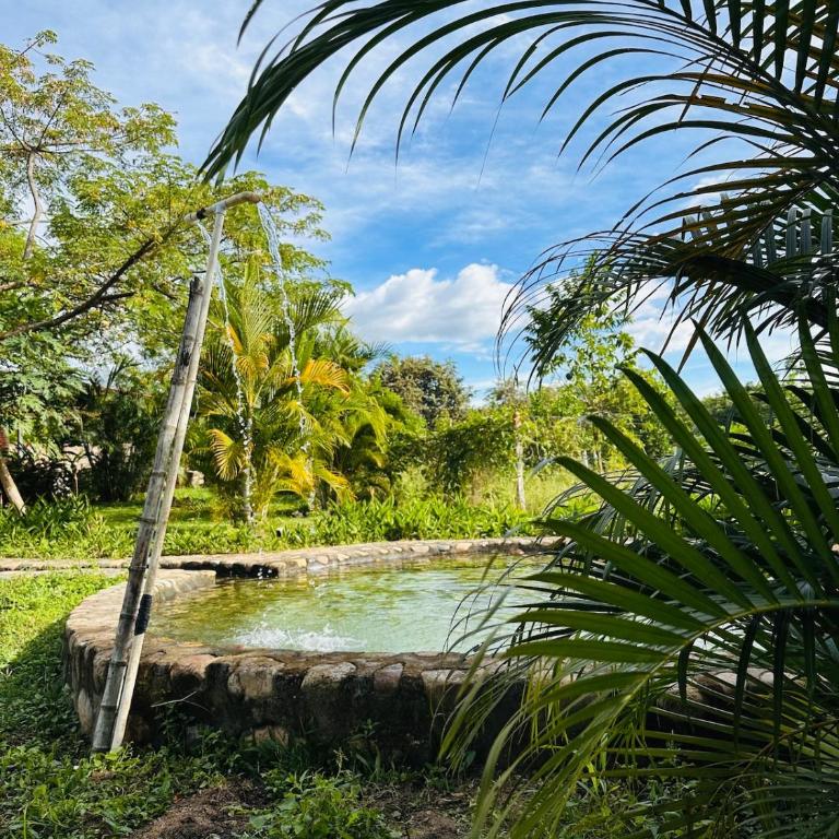 Finca Privada con Piscina Natural y ambiente ecologico cerca de Neiva - Casa de 3 dormitorios - 15