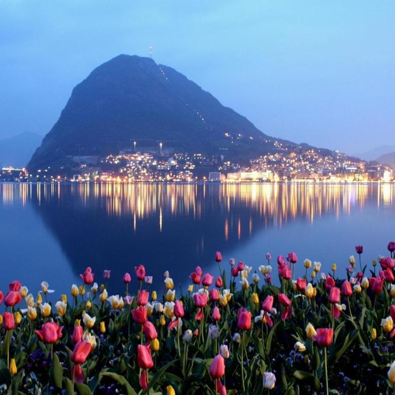 Luxury Apartment The DOM Lugano - Appartamento - 2