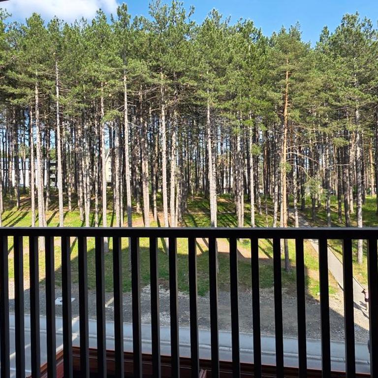 Magi apartman Zlatibor - One-Bedroom Apartment - 8