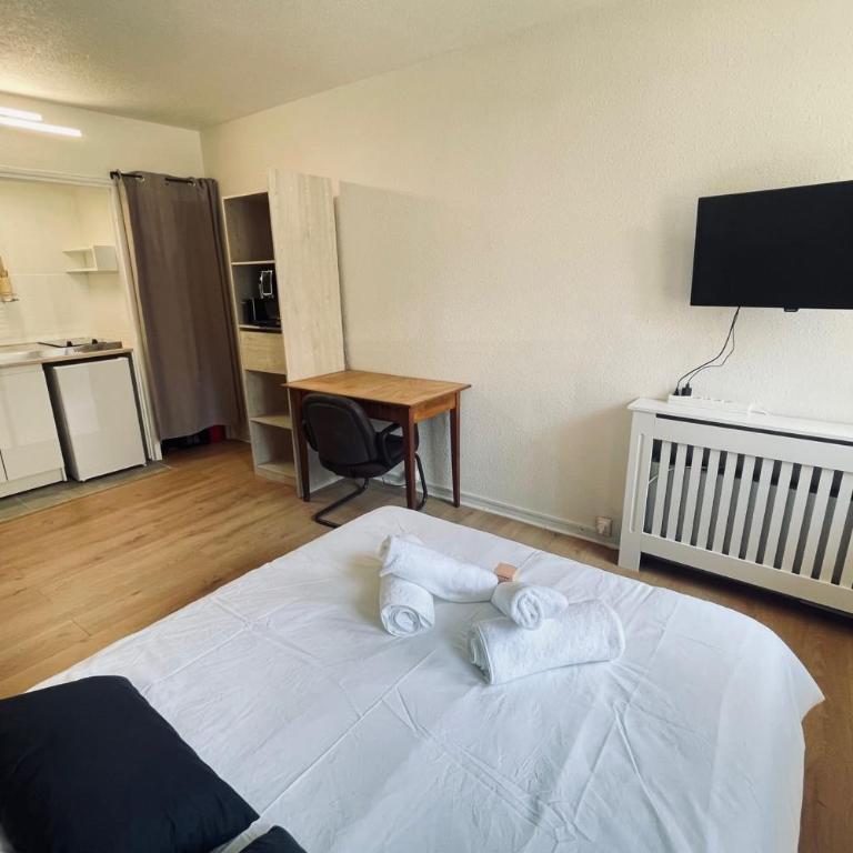 Studio of 21m 2 near the heart of Toulouse - Estudio - 5