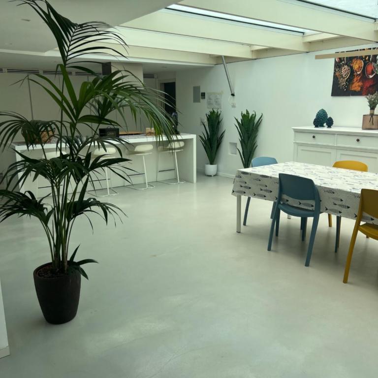 Addaura Home - Three-Bedroom Apartment - 17