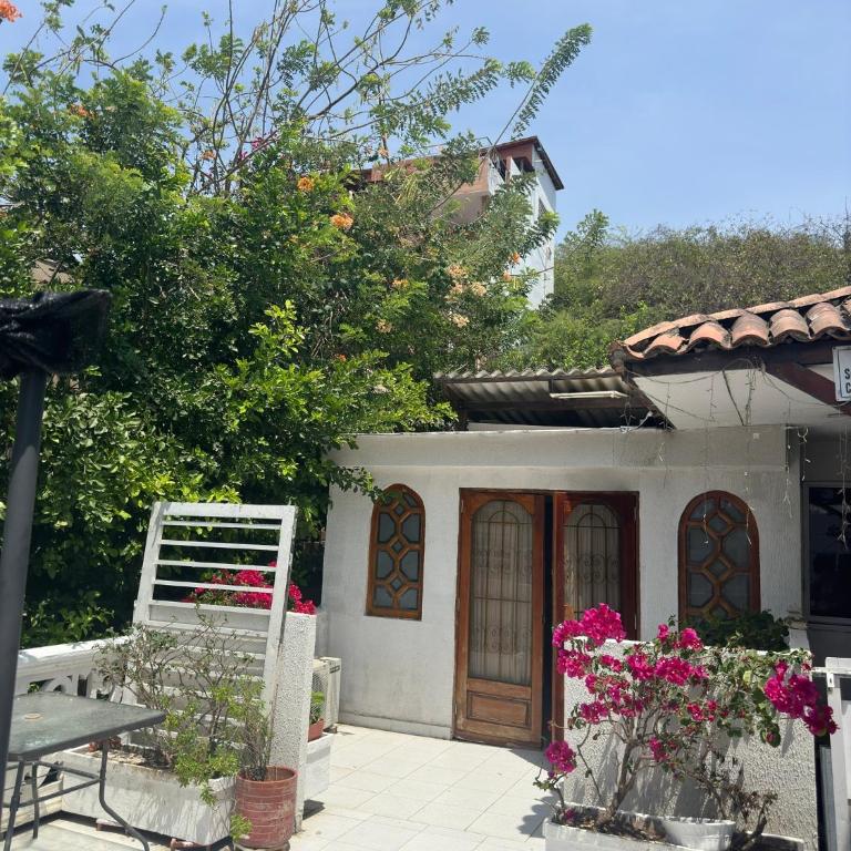 Casona La Española - Studio with Terrace - 4