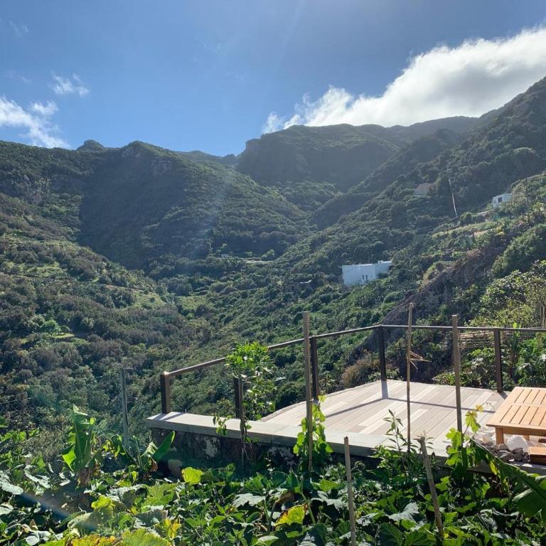 Pambnb - Nature Retreat with Mountain Views & Fiber - Apartamento de 1 dormitorio - 2