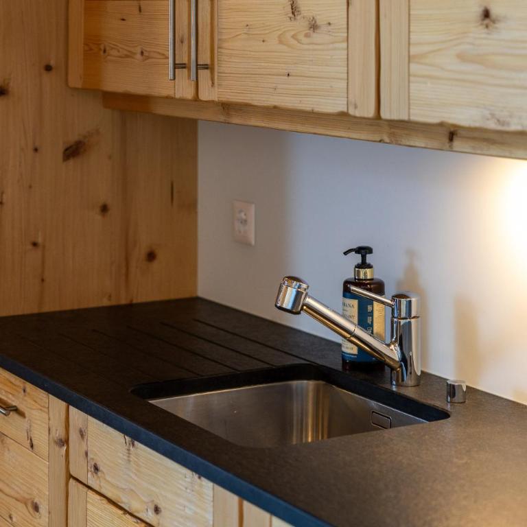 Montagnard 12 - spa access - car and careless holidays! - Apartment with Mountain View - 13