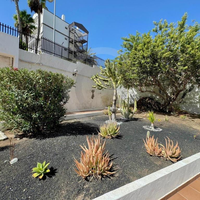 Serenity Suite Playa del Ingles - Apartamento de 1 dormitorio - 33