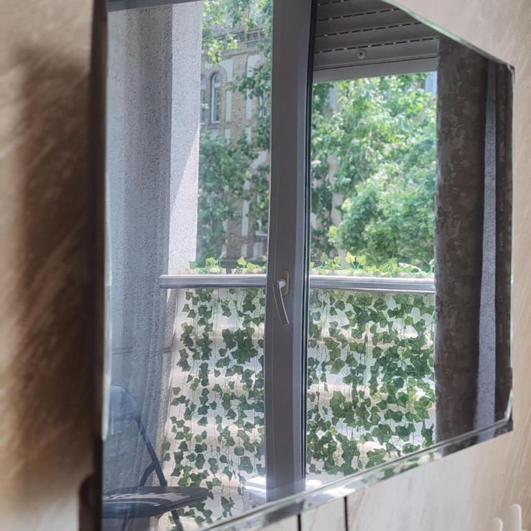 Frajla 2 - Apartman sa 1 Spavaćom Sobom - 27