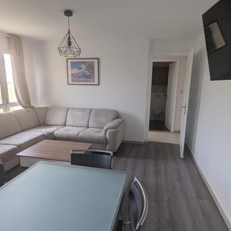 appartement 3 pieces 2 chambres centre ville - Appartement 1 Chambre - 12