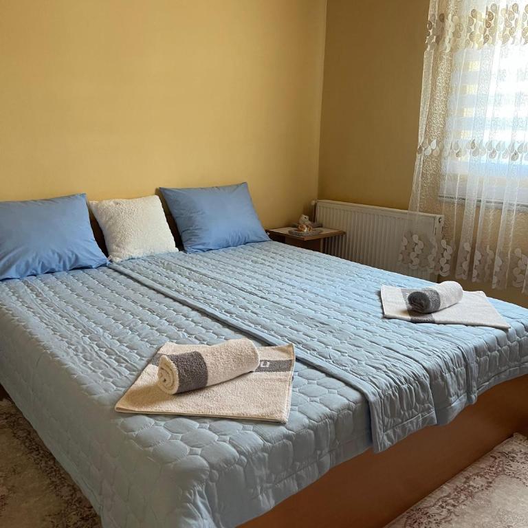 Apartman CVET Bajina Bašta - Apartman sa 1 Spavaćom Sobom - 17