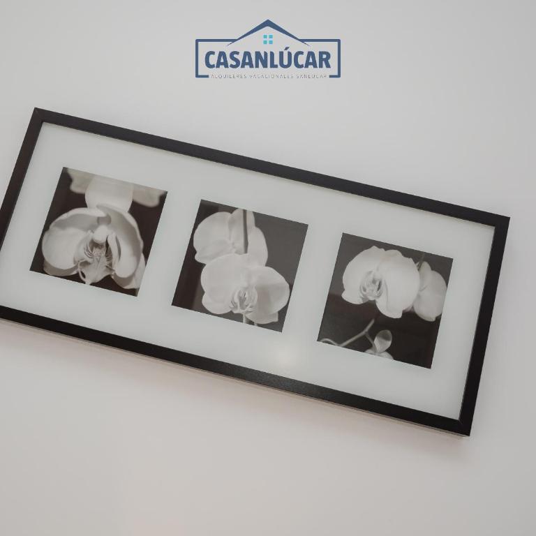 Carmen Viejo bajo - Apartamento de 2 dormitorios - 12