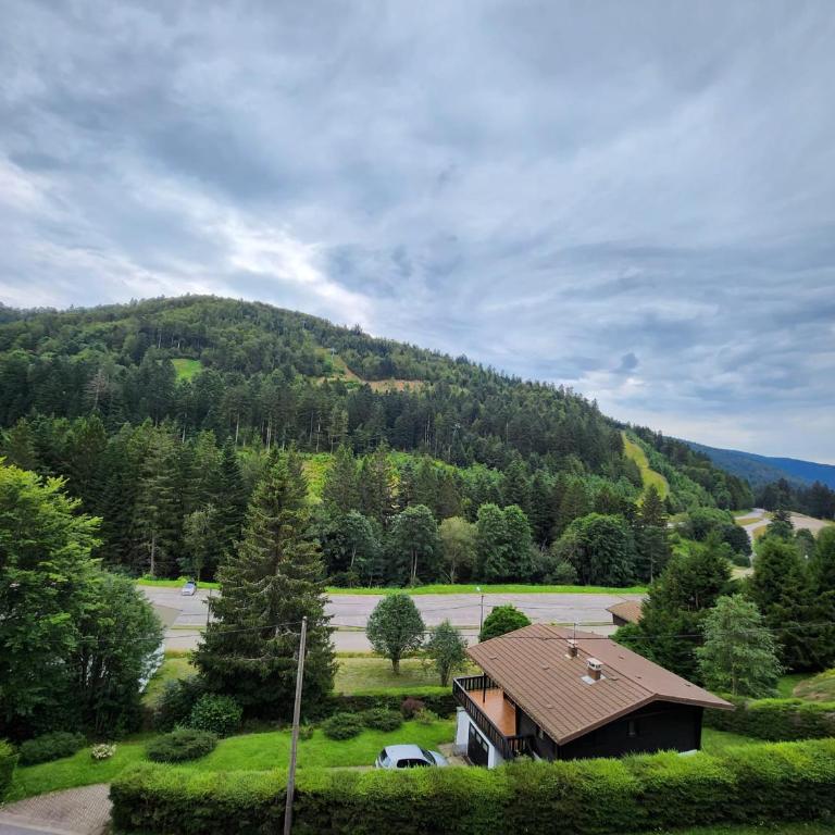 La Bresse Nature and Glisse - One-Bedroom Apartment - 3