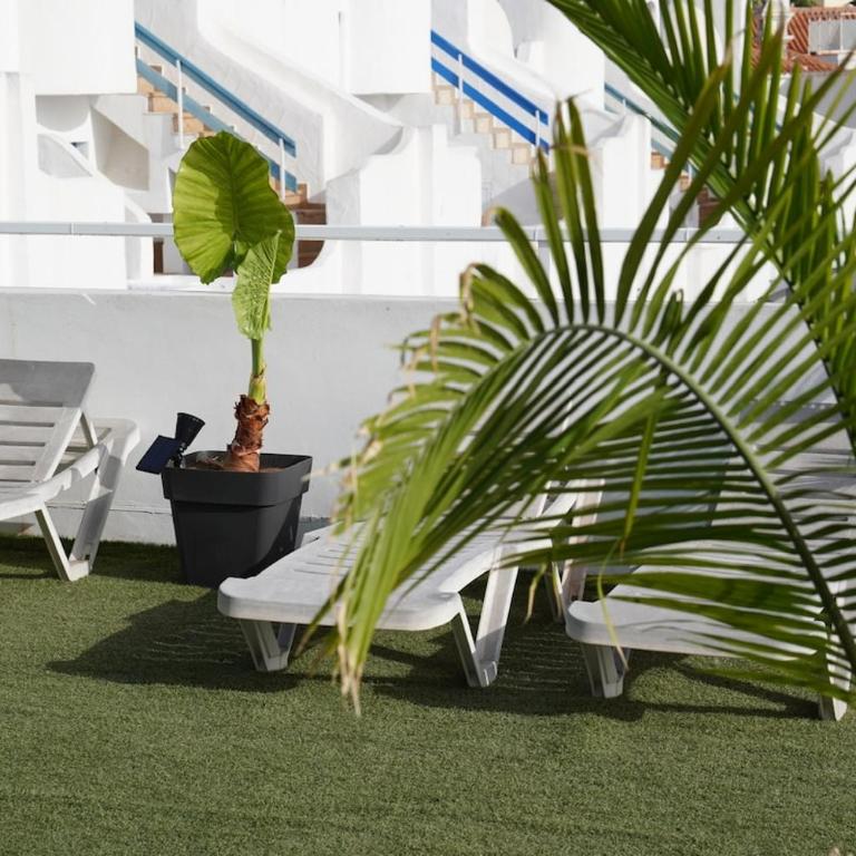 Exclusive Costa Adeje Penthouse - Apartamento con 4 dormitorios - 44