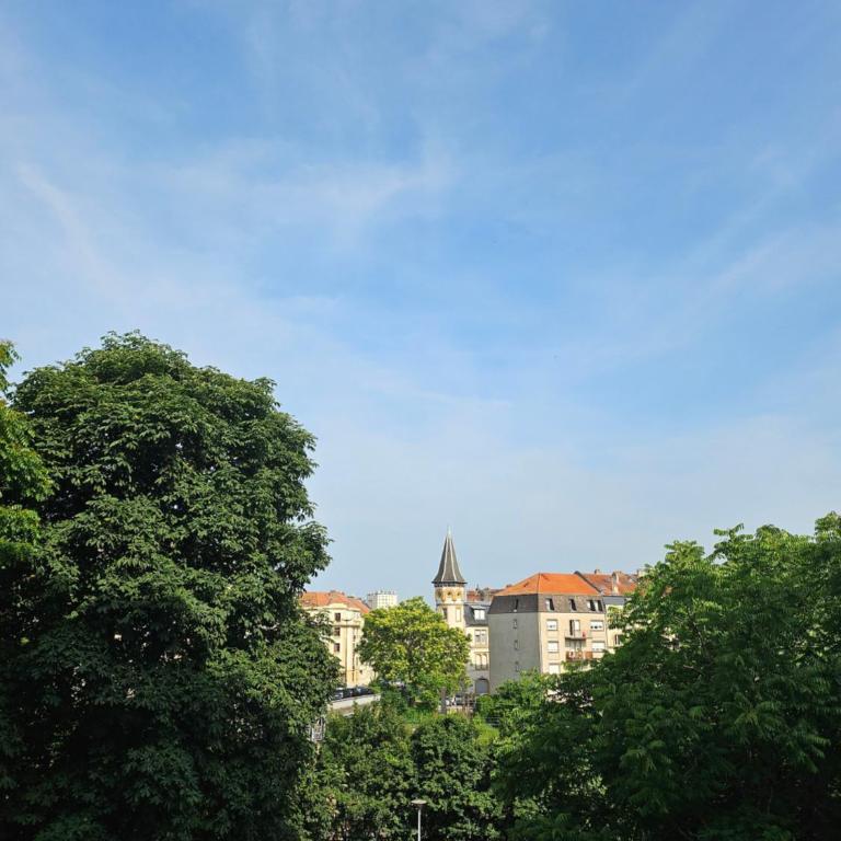F2 sympa quartier Nouvelle Ville - Apartment mit 1 Schlafzimmer - 1