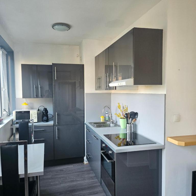 F2 sympa quartier Nouvelle Ville - Apartment mit 1 Schlafzimmer - 4