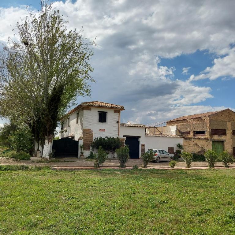 Cortijo de Montesanto S XVII - Four-Bedroom Vacation Home - 5