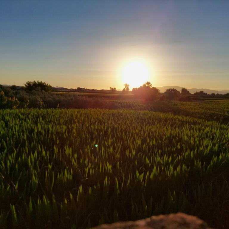 Cortijo de Montesanto S XVII - Four-Bedroom Vacation Home - 9