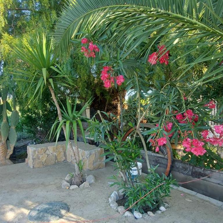 Cortijo de Montesanto S XVII - Four-Bedroom Vacation Home - 18