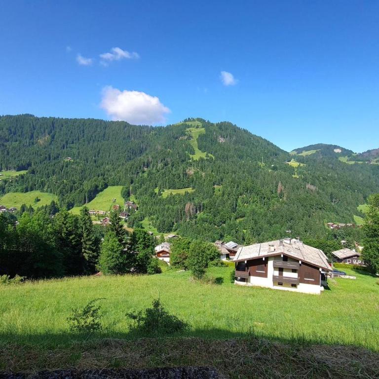 Appartement 3 pièces avec terrasse, parking, cheminée et vue montagne à La Clusaz - FR-1-459-54 - Apartment (6 Adults) - 13