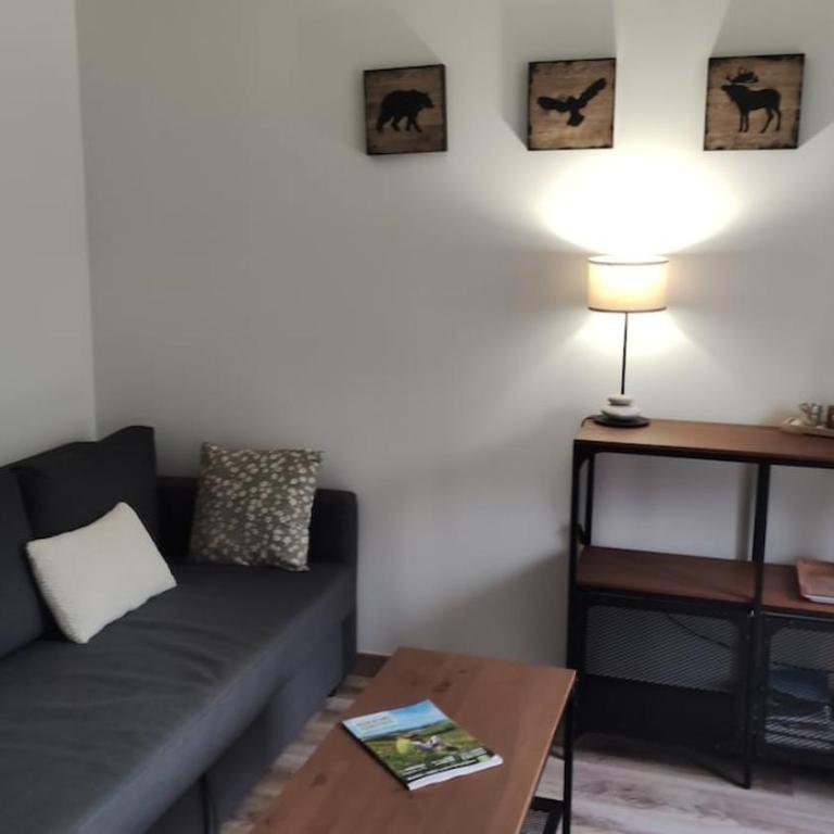 Appartement T2 Les Capucines avec balcon et wifi proche de l'hyper centre Mont Dore - Two-Bedroom Apartment - 2