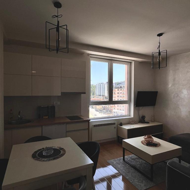 Apartmani Radić - Standard Apartment - 6
