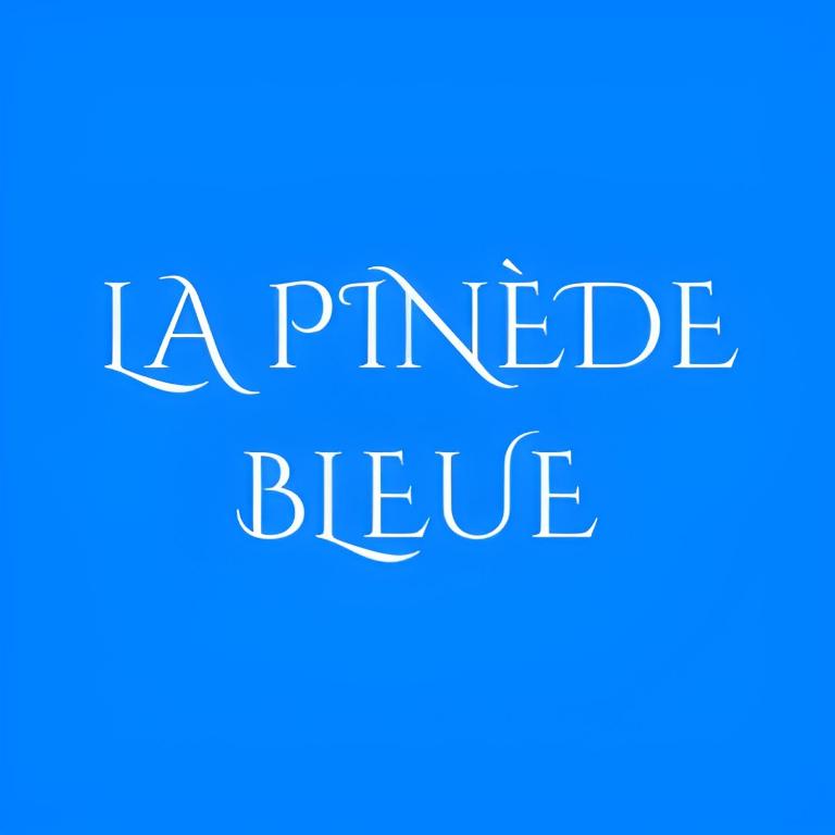 La Pinède Bleue - Studio - 17