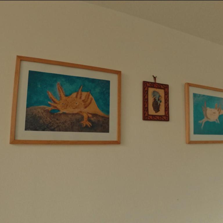 Mexicaníssima 4BR, 4 to 11 guests in Coyoacán - Apartamento de 4 habitaciones - 51