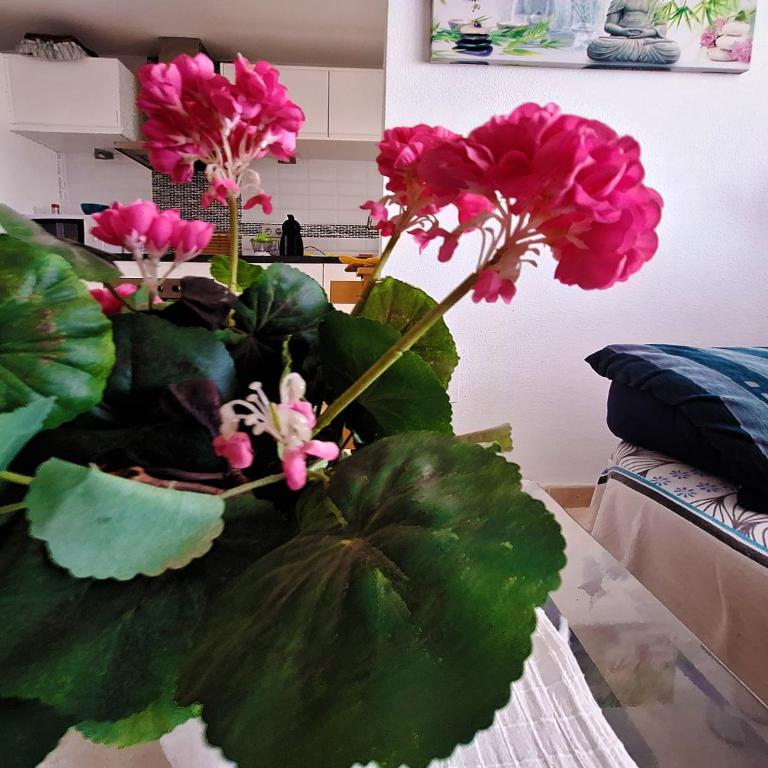 Carabassi playa - Three-Bedroom House - 55
