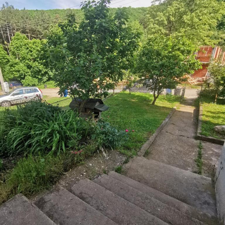 Apartman Lena - Apartman sa 1 Spavaćom Sobom - 13