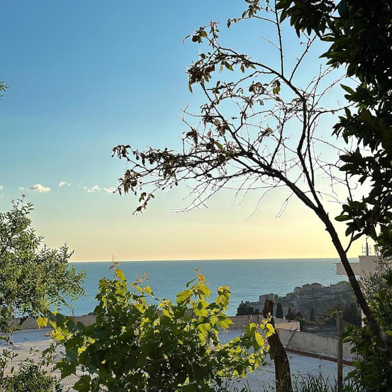 Seas the day - Apartment with sea view and terrace - Apartment with Sea View - 14