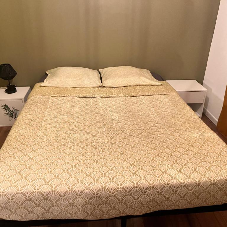 Le 24 carat appartement 3 pièces 50 m2 Beaurepaire - Appartement 2 Chambres - 6