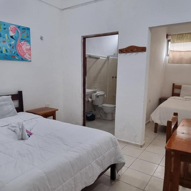 Hotel Iker - Habitación Doble - 2 camas - 5