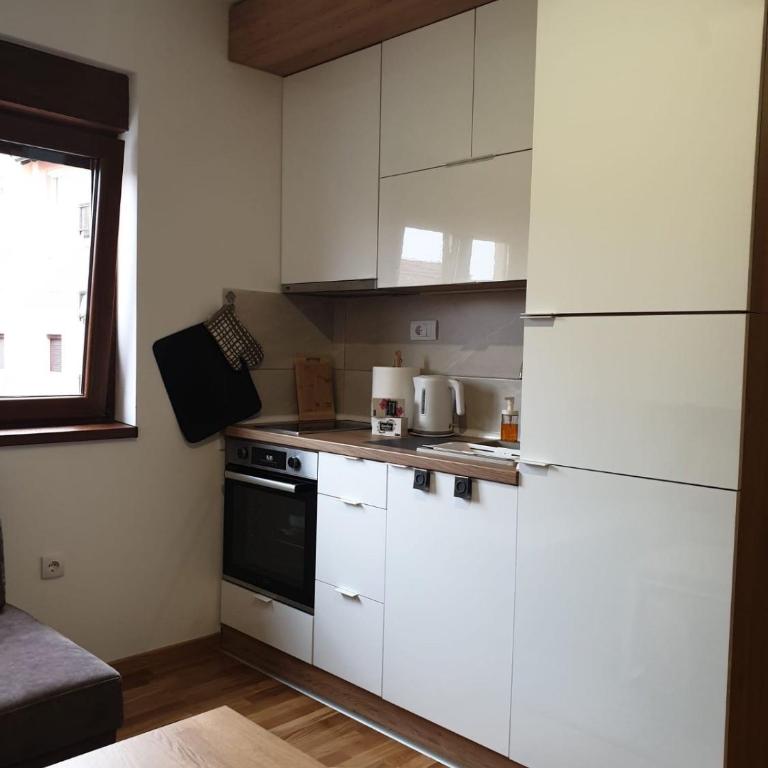Dina lux Zlatibor - Apartman sa 1 Spavaćom Sobom - 5
