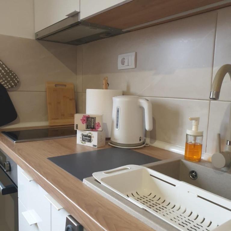 Dina lux Zlatibor - Apartman sa 1 Spavaćom Sobom - 6