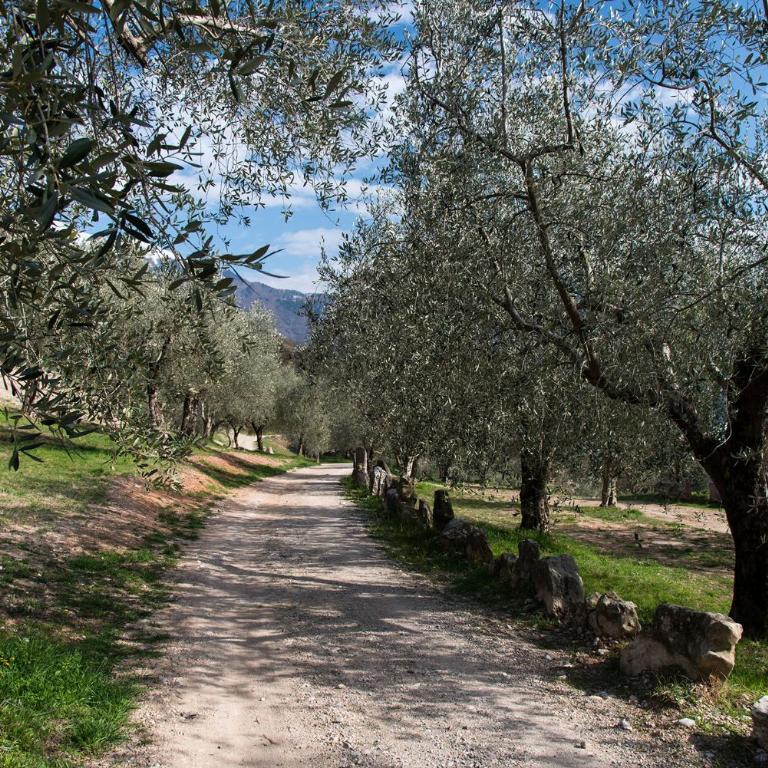 Casa Vacanze RE.TI. - Appartamento con Vista Giardino - 15