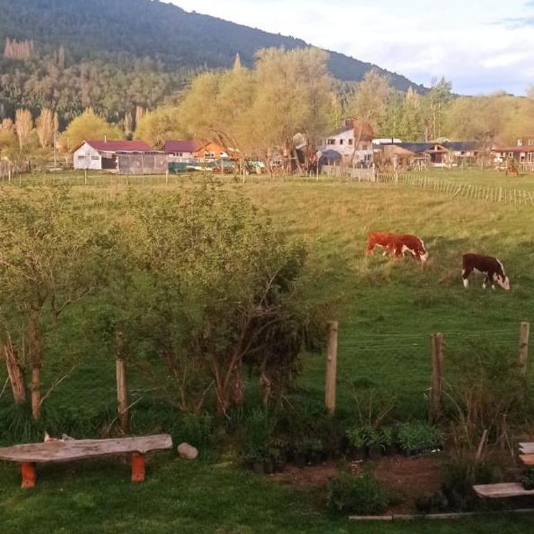 Campanita - Apartamento de 2 dormitorios - 8