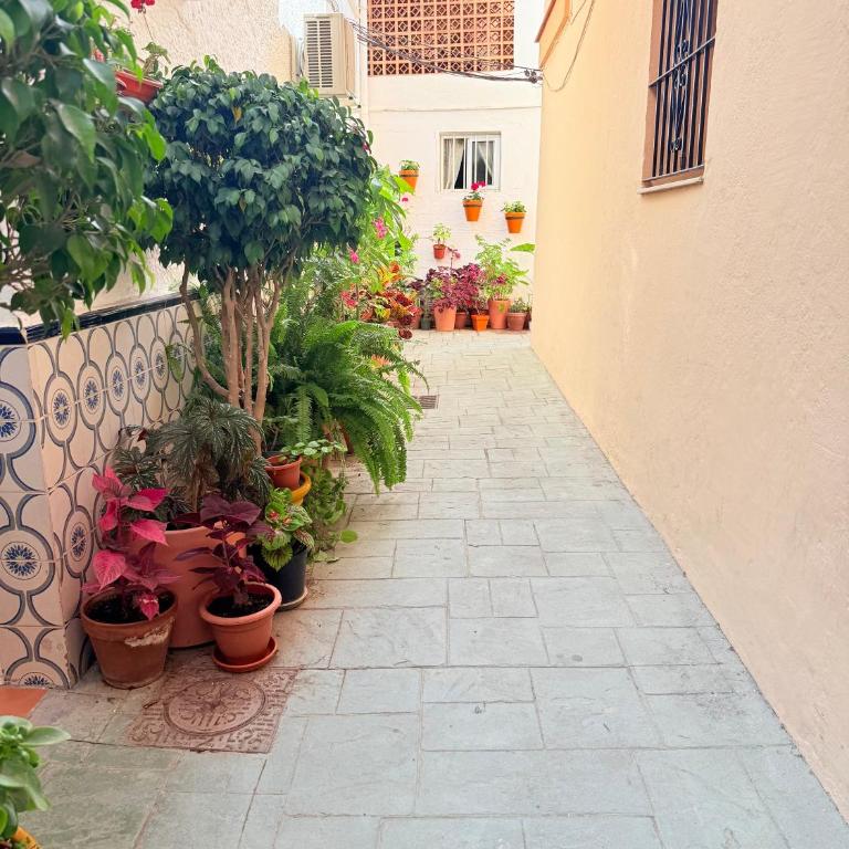 La Cala Dreams - Apartamento de 2 dormitorios - 7