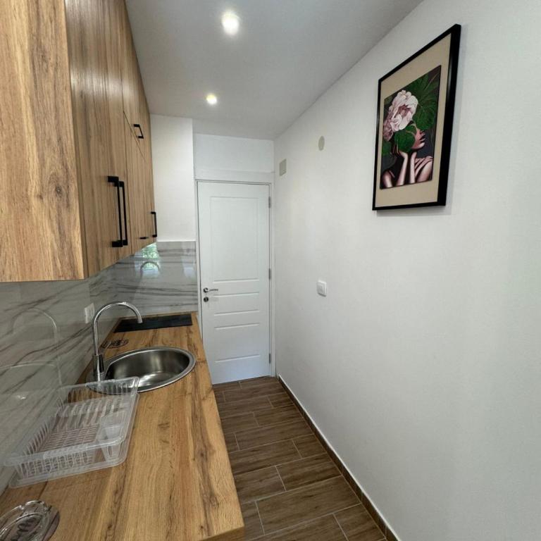 Spasic Apartments Sutomore - Apartman s 1 Spavaćom Sobom i Balkonom - 2