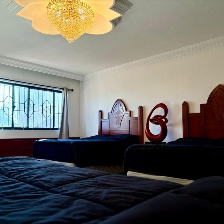 Domus Áurea - Four-Bedroom House - 5