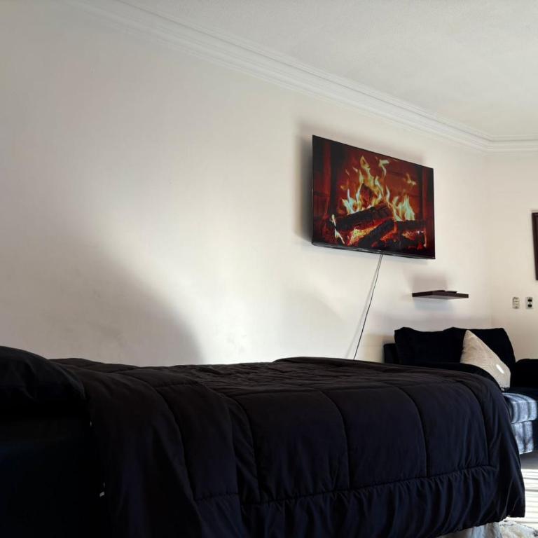 Domus Áurea - Four-Bedroom House - 10