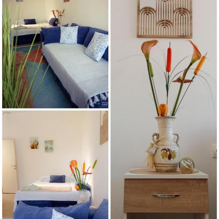 Hajdi apartman - Porodični Studio - 20