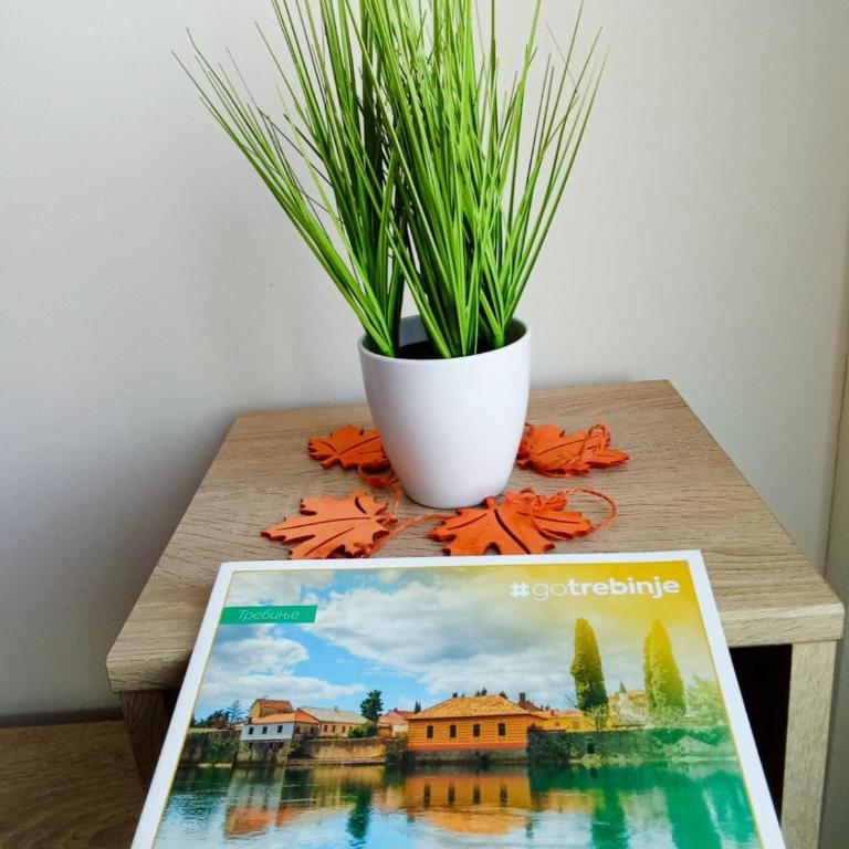 Hajdi apartman - Porodični Studio - 1