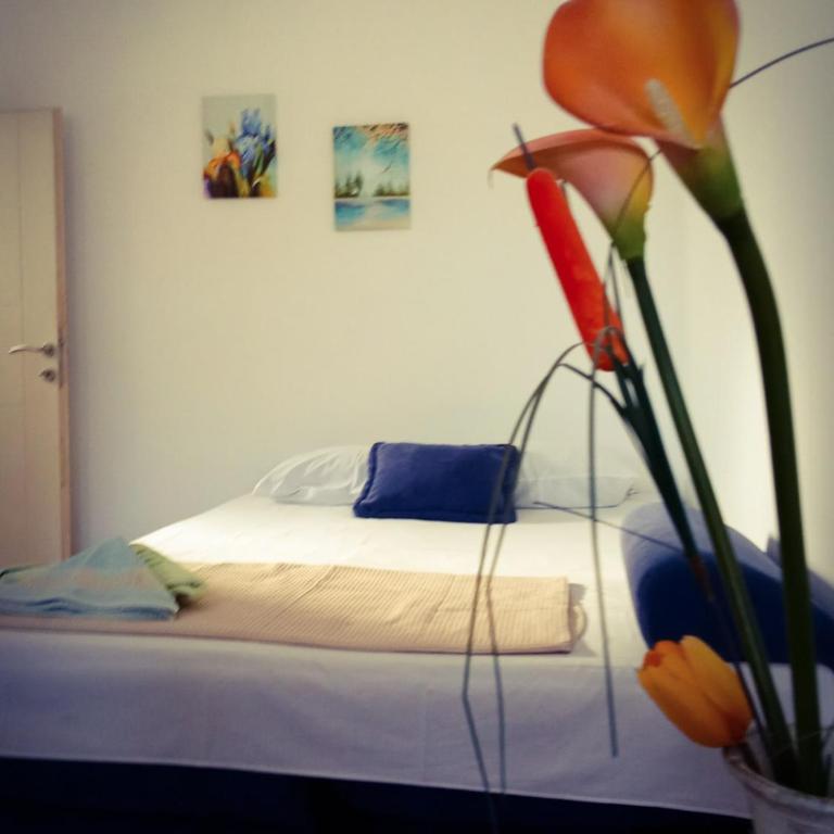 Hajdi apartman - Porodični Studio - 7